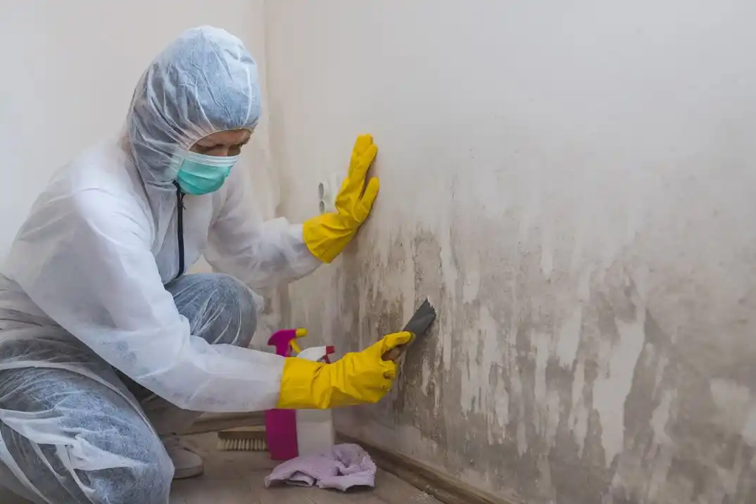 water damage restoration service County House Branch